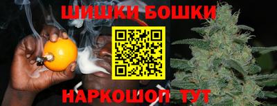 молекула духа Будённовск