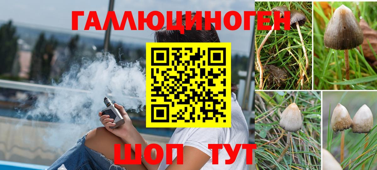 Псилоцибиновые грибы ЛСД  Псилоцибиновые грибы MAGIC MUSHROOMS  Вход с VPN  Сальск 