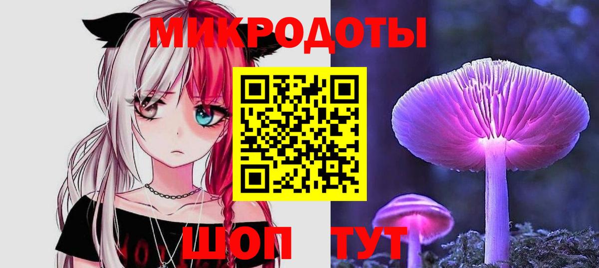 Галлюциногенные грибы Psilocybe Сальск